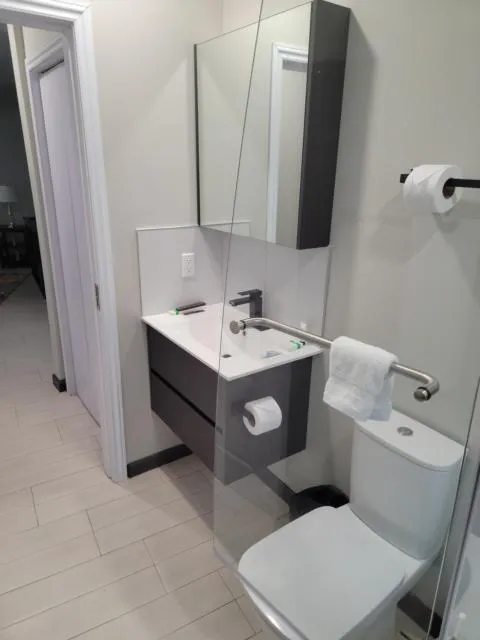  Hillsboro Suites & Residences Condo Hotel, St Kitts - picture  : Bathroom,Bathroom,Property 