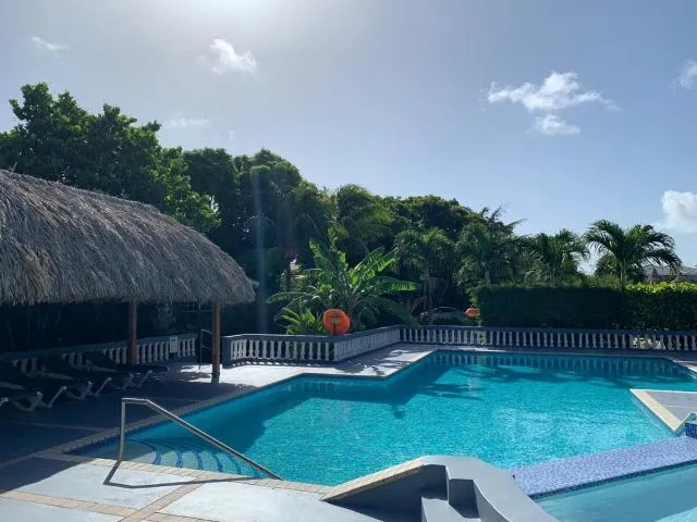  Casa Korsou - photo  : Piscine,Vue de la piscine,Piscine,transat,Propriété 