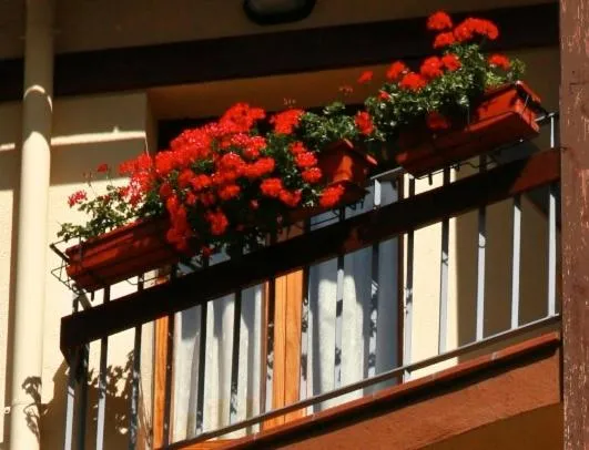  Montecarlo - picture  : Day,Balcony/Terrace,Property 