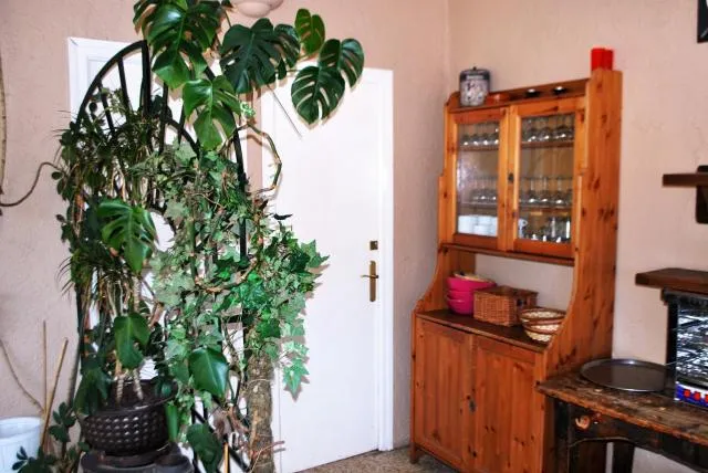  Hotel Roc de St Miquel & Apartment - picture  : Kitchen/kitchenette,Restaurant/places to eat,Property 