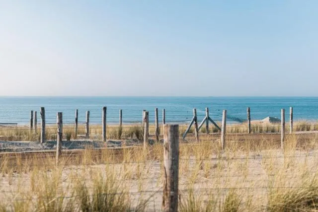  Casa Verde - picture  : Beach,Beach,Property 