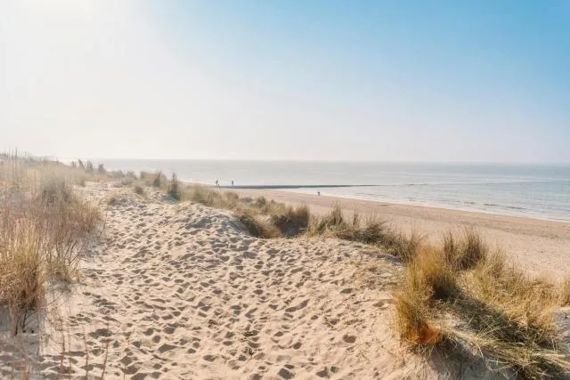  Casa Verde - picture  : Beach,Beach,Property 