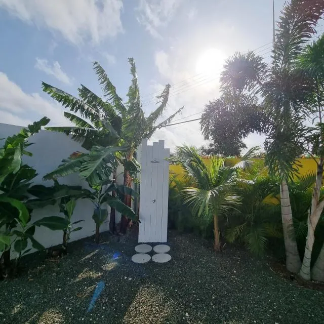  Casa Korsou - photo  : Jardin,Immeuble immobilier,Jardin,Propriété 