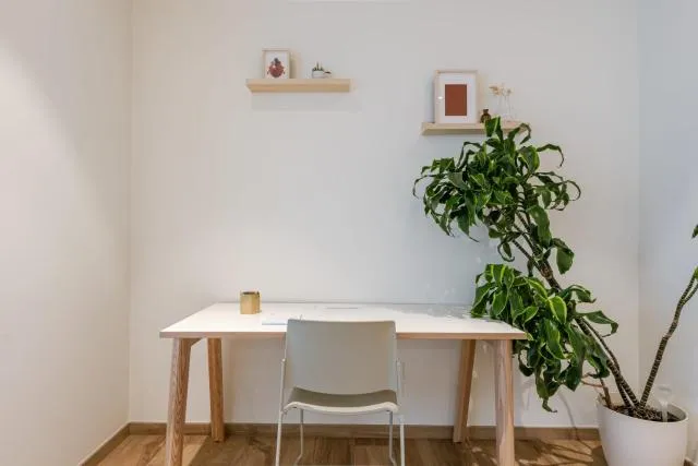  Modern and bohemian house with spacious garden - picture  : Dining area 