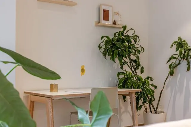  Modern and bohemian house with spacious garden - picture  : Dining area 