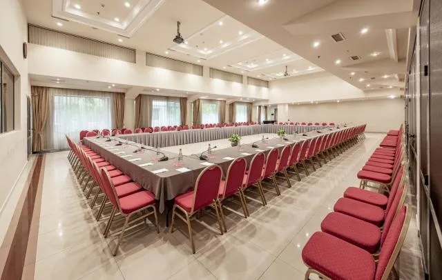  Ani Plaza Hotel - picture  : Meeting/conference room,Property 