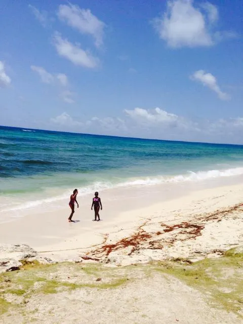  Seawinds Apartments - picture  : Beach,Natural landscape,Beach,Property 