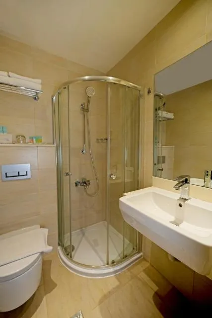  Action Hotel Ras Al Khaimah - picture  : Shower,Toilet,Bathroom,Property 