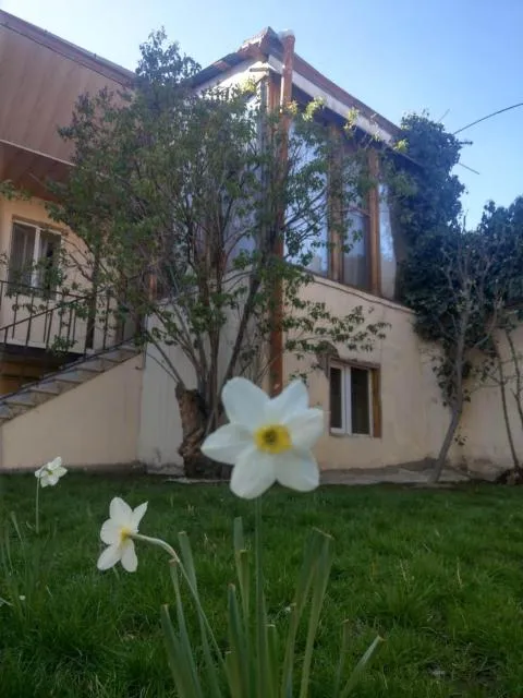  Popock City Center - picture  : Garden,Property building 