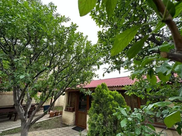  Popock City Center - picture  : Property building 