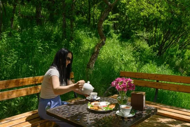  Aurora Resort Tsaghkadzor - picture  : Garden,Breakfast,Property 