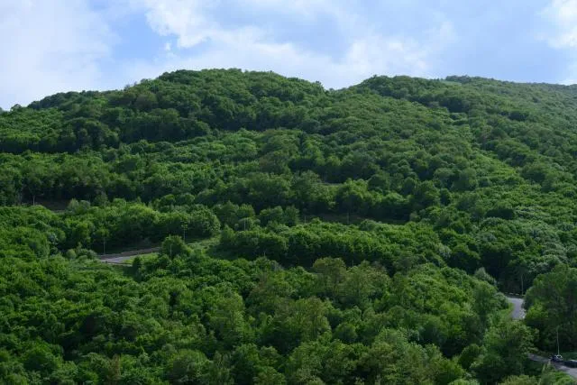  Aurora Resort Tsaghkadzor - picture  : Natural landscape,View (from property/room),Property 