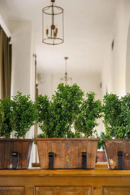  Boutique ETHNO HOTEL - picture  : Bathroom,Sunrise 