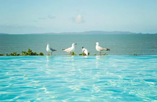  Villa Mar Colina - picture  : Other animals 