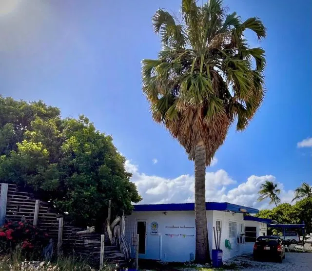  Aruba Savaneta Luxury Apartments - picture  : Facade/entrance,Property 