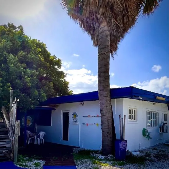  Aruba Savaneta Luxury Apartments - picture  : Facade/entrance,Property building,Property 