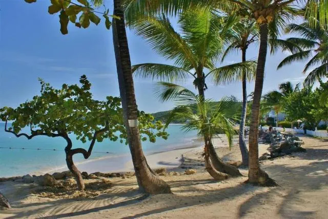  Siboney Beach Club - picture  : Beach,Beach,Property 