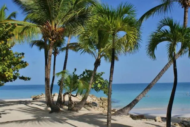  Siboney Beach Club - picture  : Beach,Sea view,Beach,Property 