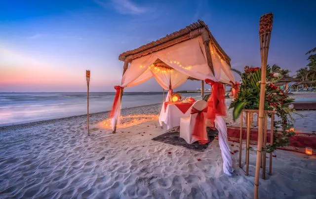  Ajman Hotel - picture  : Restaurant/places to eat,Beach,Beach,Property 