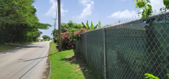  THE GOOD LIFE - picture  : Property building,Property 