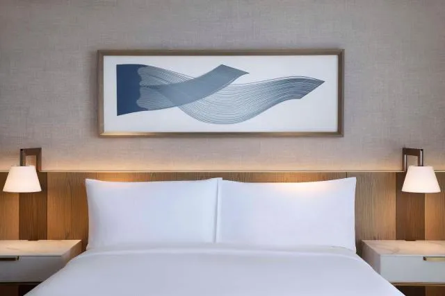  Hilton Abu Dhabi Yas Island - photo  : Zone assise,Lit,Lit,Café/thé,Vue sur un monument,Propriété,Chambre 