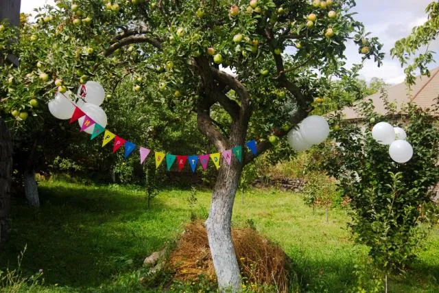  Zove Rural Cottage with garden views - picture  : Garden,Property 