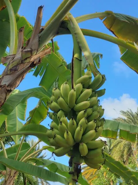  Northshore Seaside Suites - picture  : Natural landscape,Property 