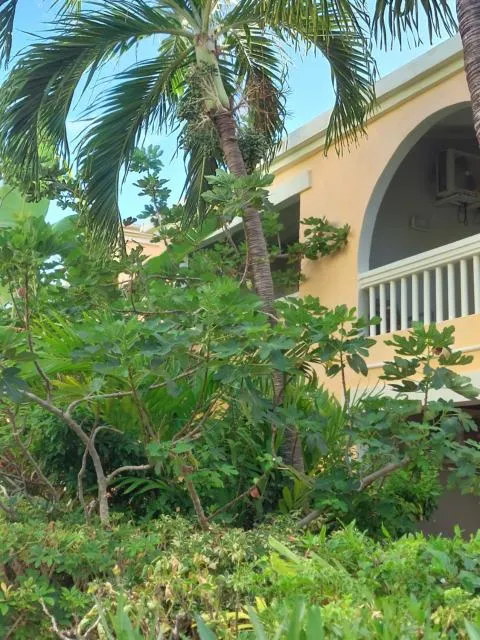  Northshore Seaside Suites - picture  : Property building,Property building,Property 