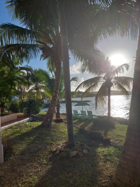  Northshore Seaside Suites - picture  : Beach,Garden view,Property 