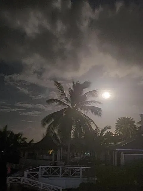  Northshore Seaside Suites - picture  : Sunrise/sunset,Night 