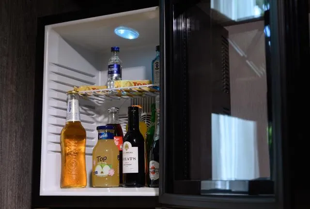  Aurora Resort Tsaghkadzor - picture  : Natural landscape,oven,Property 