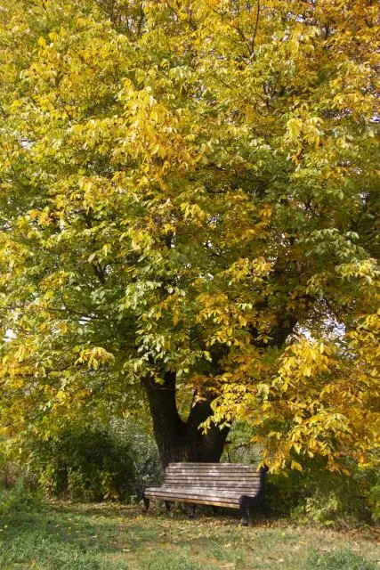  Zove Rural Cottage with garden views - picture  : Garden view,Property 
