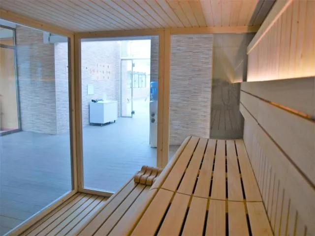  Hotel Best Andorra Center - picture  : Sauna,Steam room,Spa and wellness centre/facilities,Property 