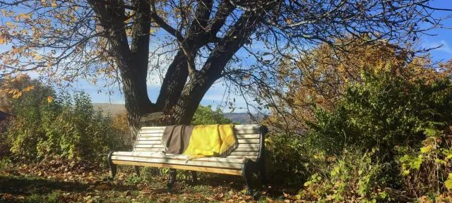  Zove Rural Cottage with garden views - picture  : Garden,Property 