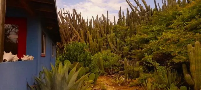  Hopi Cadushi Studio - picture  : Natural landscape,Garden view,Property 