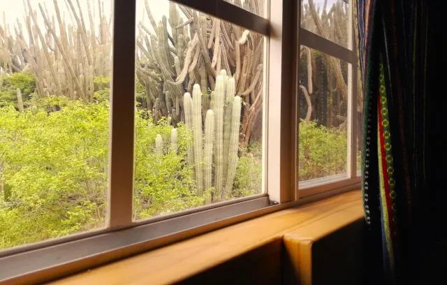  Hopi Cadushi Studio - picture  : Day,Natural landscape,Property 