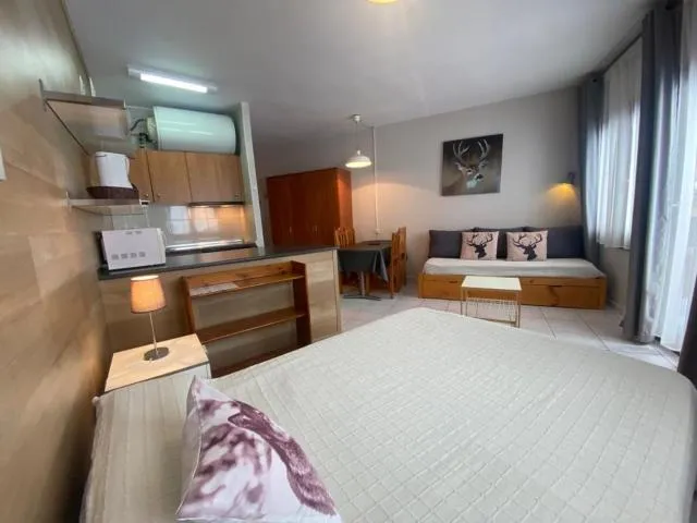  Tetras Pedrous - picture  : Bed,Photo of the whole room,Bedroom,Property,Room 