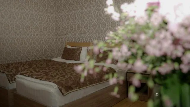  Inga Hotel Yerevan - picture  : Bed,Bed,Room 