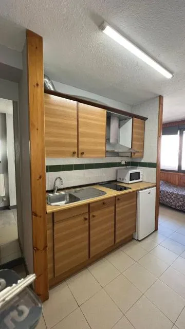  Apartaments Crest Pas - picture  : Kitchen/kitchenette 