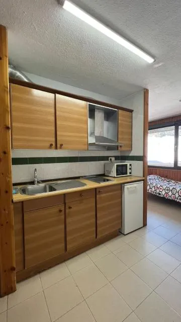  Apartaments Crest Pas - picture  : Kitchen/kitchenette 