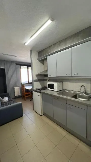  Apartaments Crest Pas - picture  : Kitchen/kitchenette 