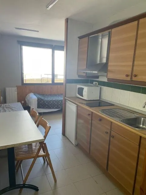  Apartaments Crest Pas - picture  : Kitchen/kitchenette 