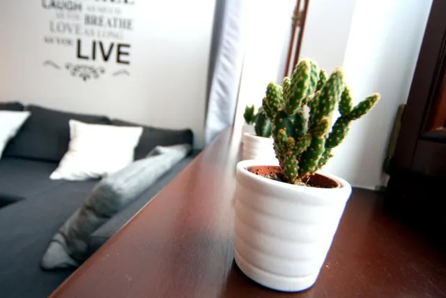  Gozsdu Apartment - photo  : Détail décoratif 