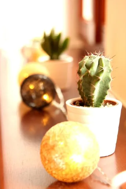  Gozsdu Apartment - photo  : Nourriture,Détail décoratif 