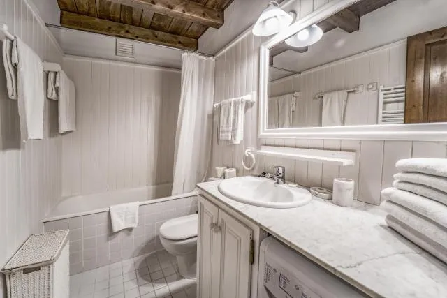  La Pleta Del Tarter Apartments - picture  : Bathroom 