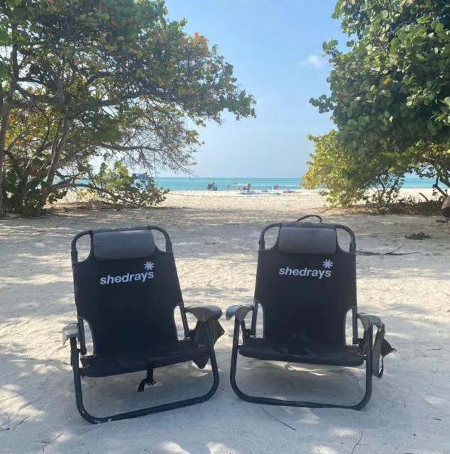  Pearl Aruba - picture  : Beach,Beach,Property 