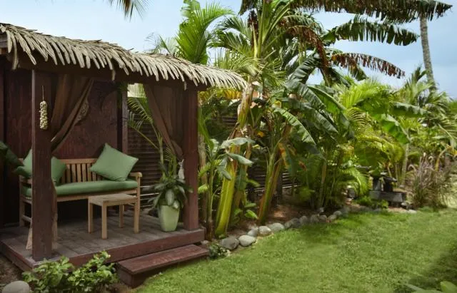  Manchebo Beach Resort and Spa - picture  : Patio,Day,Natural landscape,Garden,Garden view,Property 