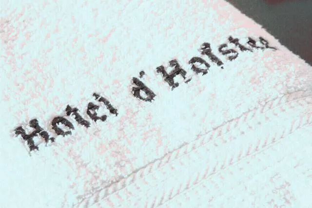  Hotel Restaurant D'Hofstee - picture  : Property logo/sign,Bathroom,Property 