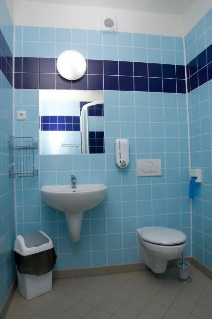  Hotel Emeran - picture  : Bathroom 