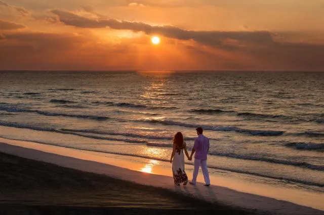  Ajman Hotel - picture  : Beach,Sunrise/sunset,Beach,Guests,Sunset,Property 